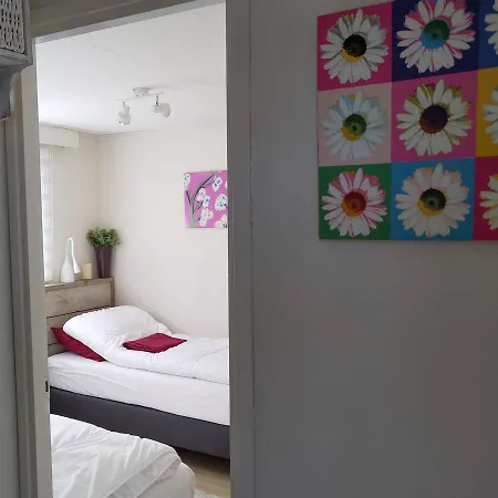 Resort Type B Comfort Four-person At The Water Terwolde